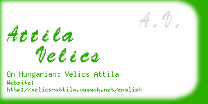 attila velics business card